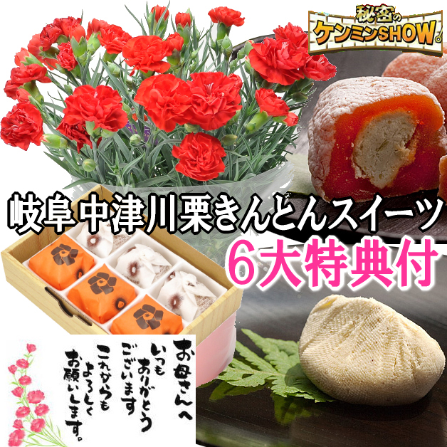 【送料込み】生花カーネーション5号鉢＆和菓子セット★特別特典付き★岐阜中津川本物の栗きんとん3個・南陽軒最高級和菓子の栗柿3個【合計6個入】