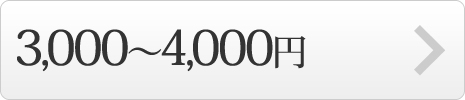 3000円~4000円