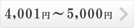 4001円~5000円
