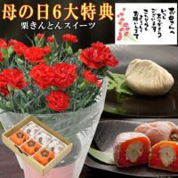 母の日生花と和菓子セット