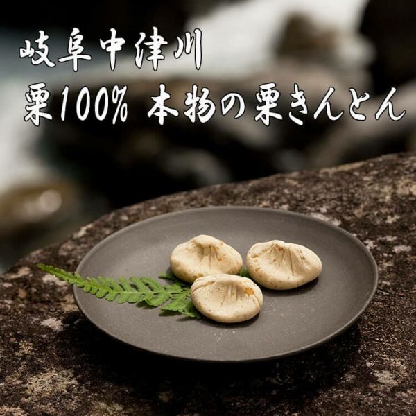 岐阜 中津川銘菓 栗 100%