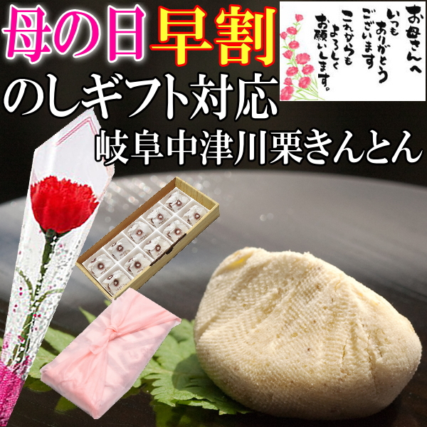 母の日 栗きんとん10個入