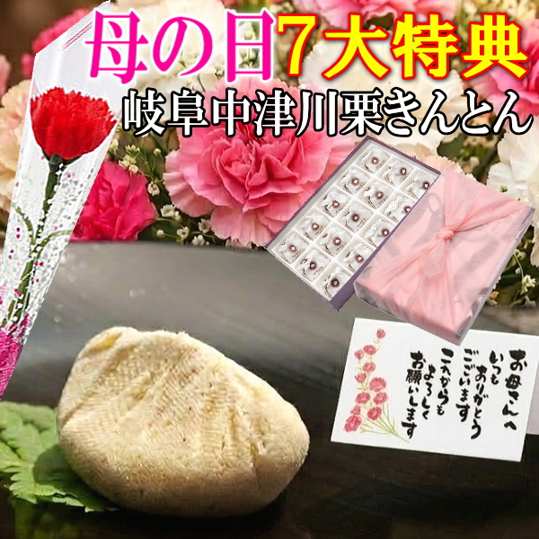 母の日 栗きんとん15個入