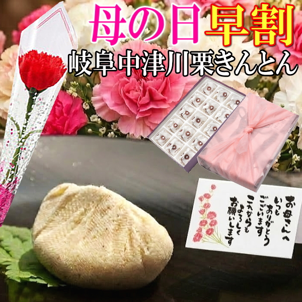 母の日 栗きんとん15個入