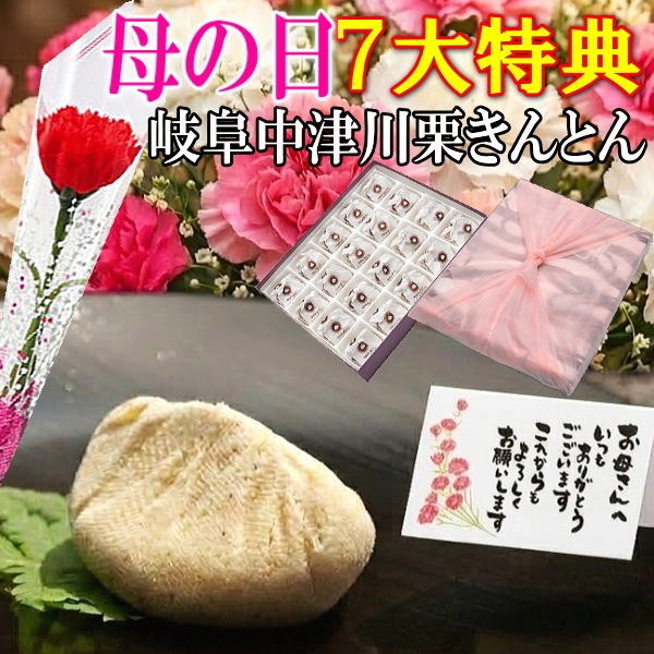 母の日 栗きんとん20個入